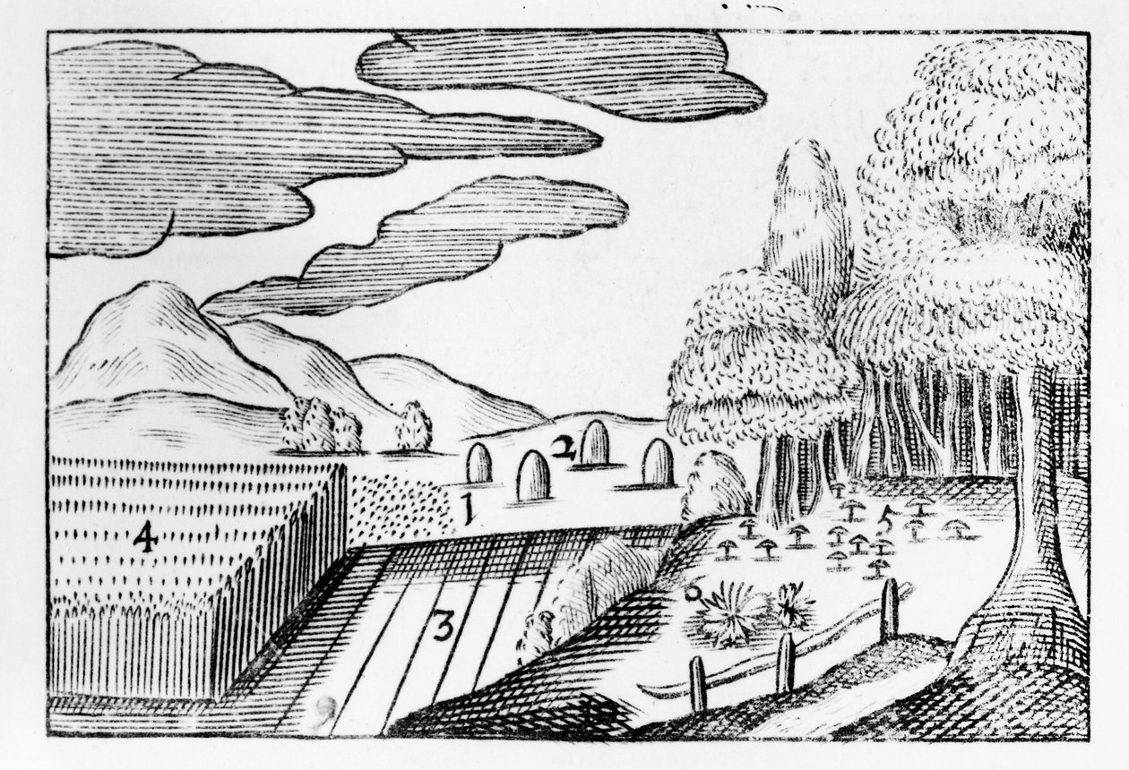 A Föld gyümölcsei, 1658 alkotó: John Amos Comenius
