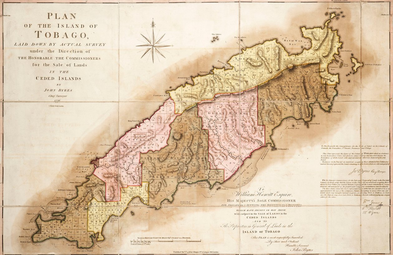 Tobago terve alkotó: John Bayly