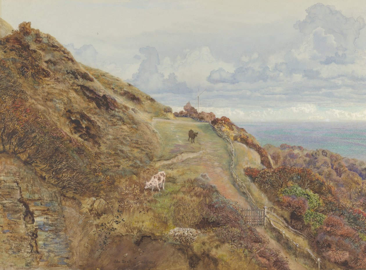 Bonchurch Downs, 1865. alkotó: John Brett