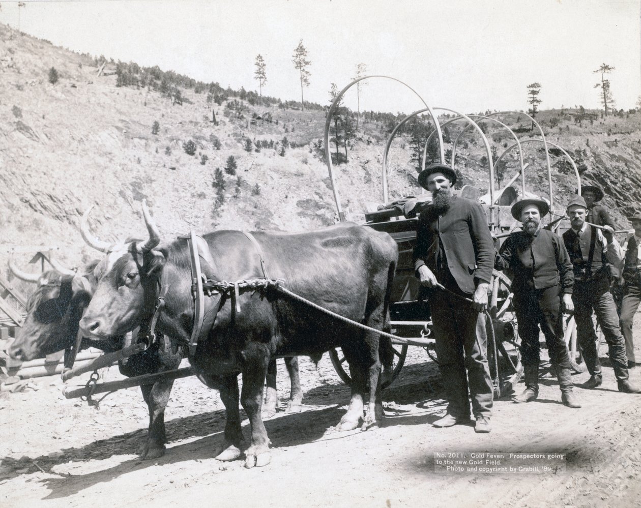 Aranyláz Dél-Dakotában alkotó: John C. H. Grabill