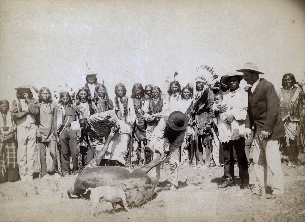 Nyúzott marhahús, 1891 alkotó: John C. H. Grabill