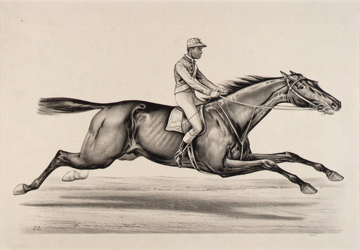Norfolk császára alkotó: John Cameron