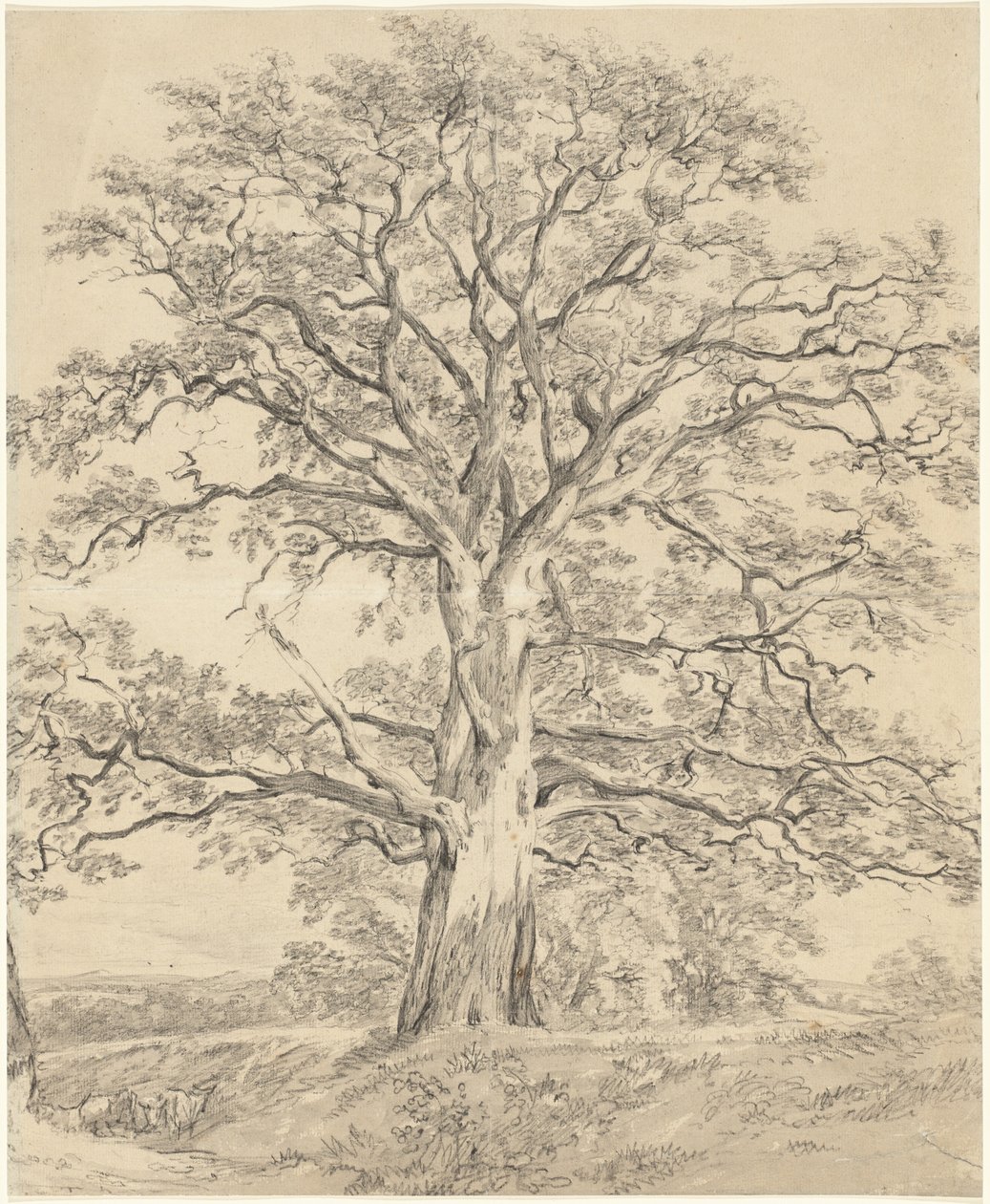 Egy nagy tölgyfa alkotó: John Constable