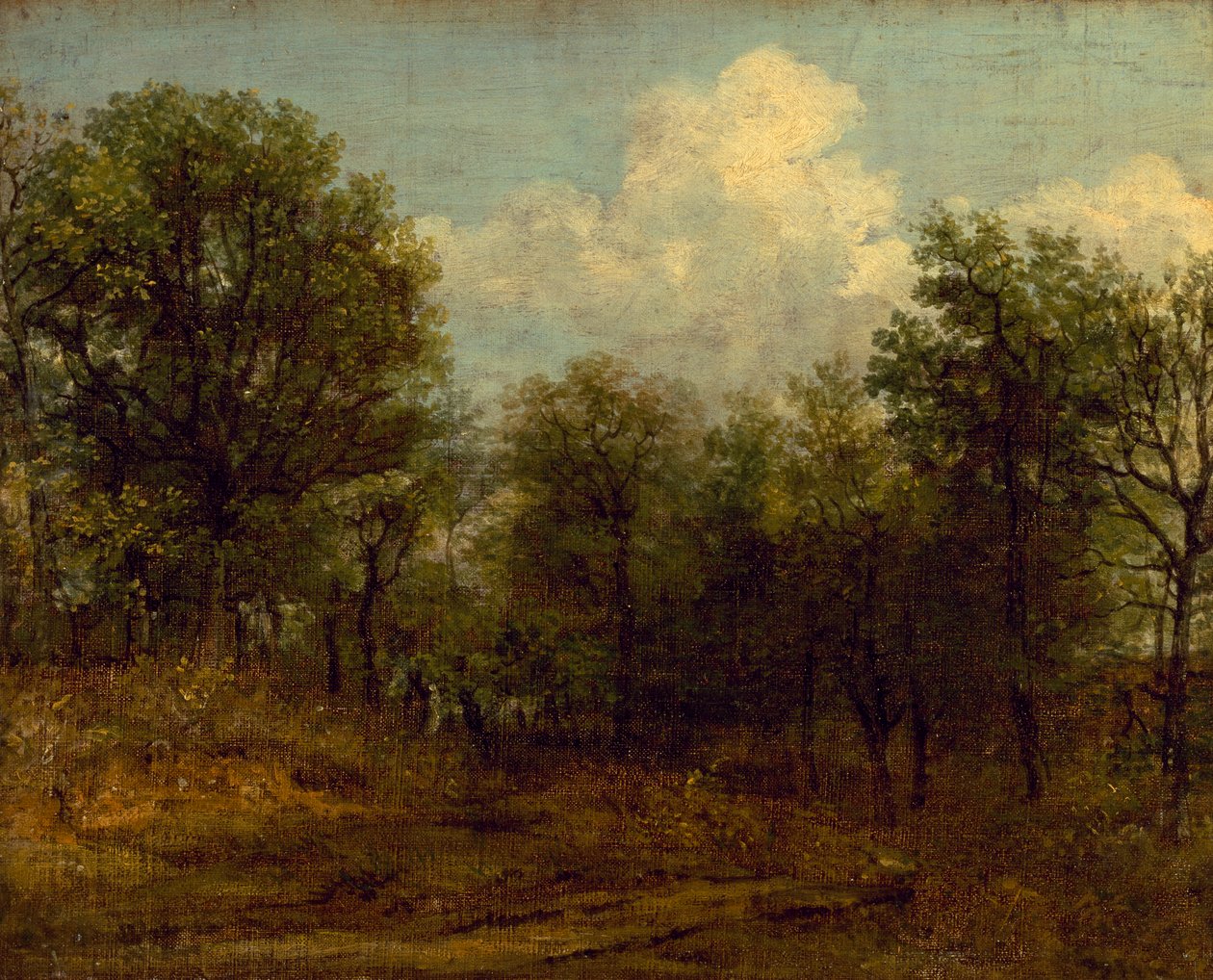 A Wood (olajfestmény) alkotó: John Constable