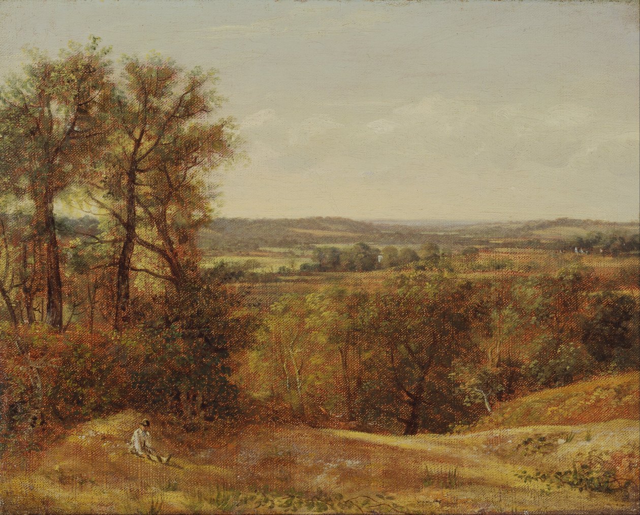 Dedham Vale alkotó: John Constable