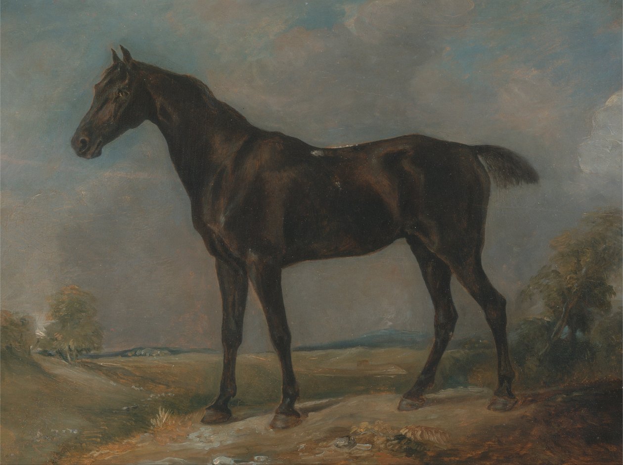 Golding Constable fekete lovas lova alkotó: John Constable