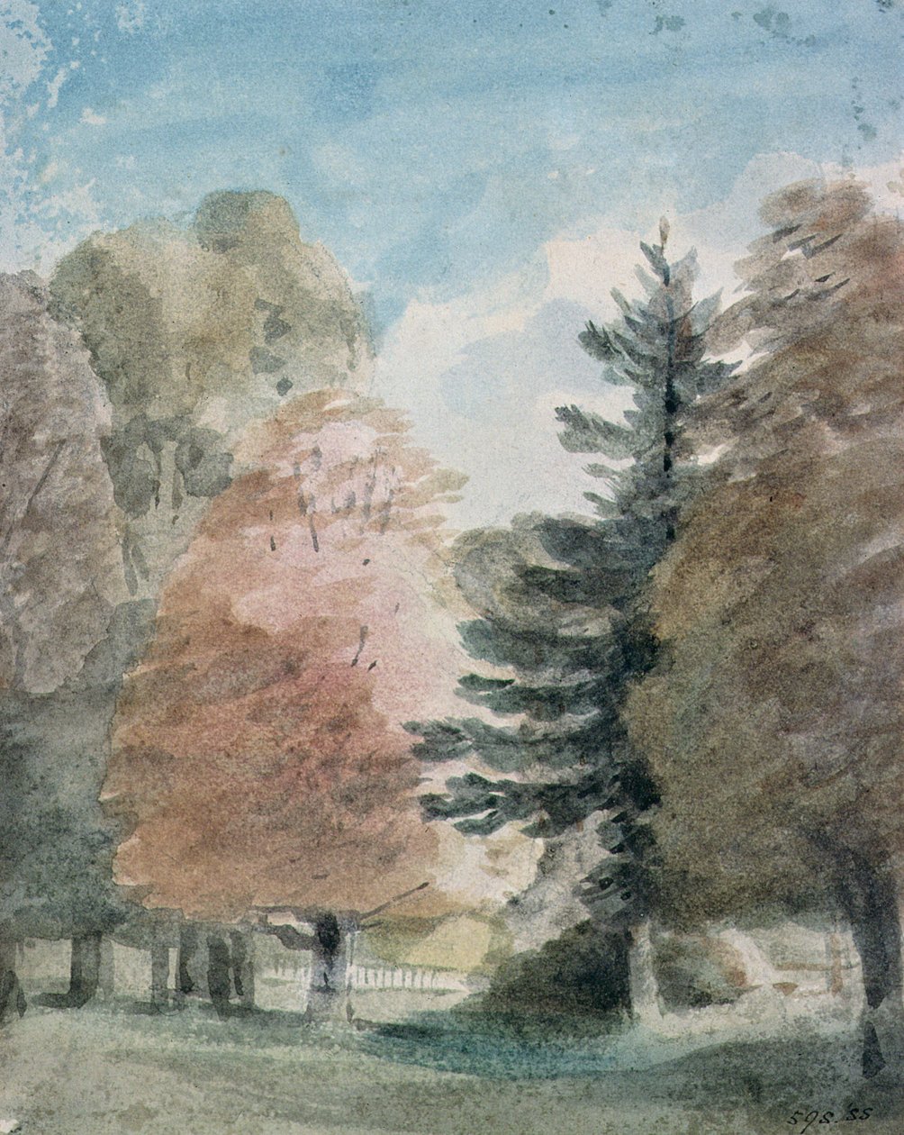 Fák tanulmányozása a parkban (akvarell) alkotó: John Constable
