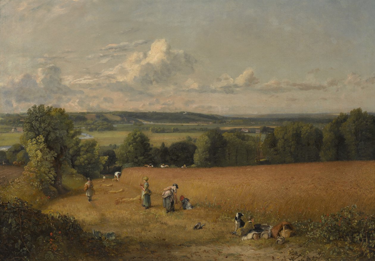 A Búzamező alkotó: John Constable