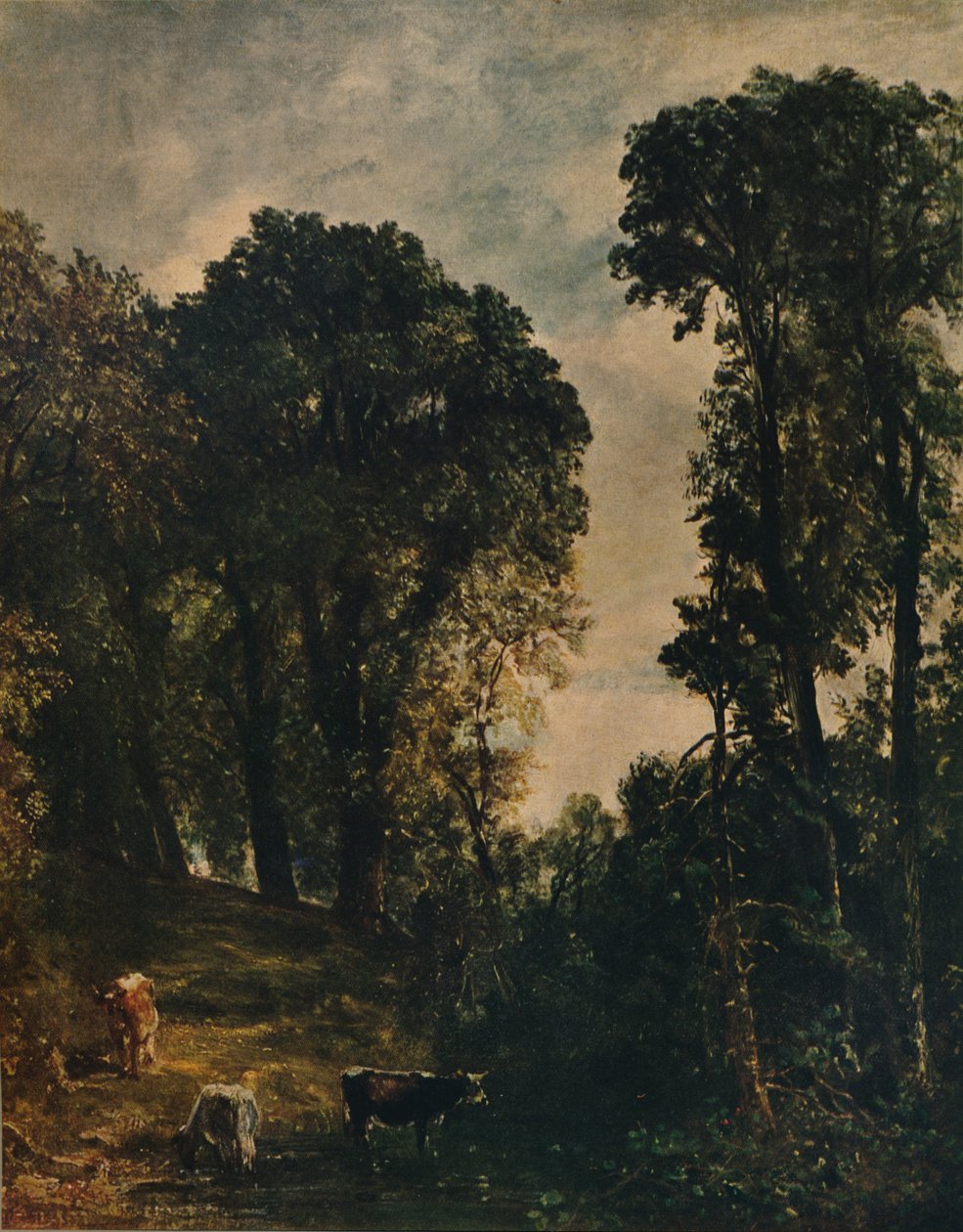 Fák a Hampstead templom közelében, 1829, 1915 alkotó: John Constable