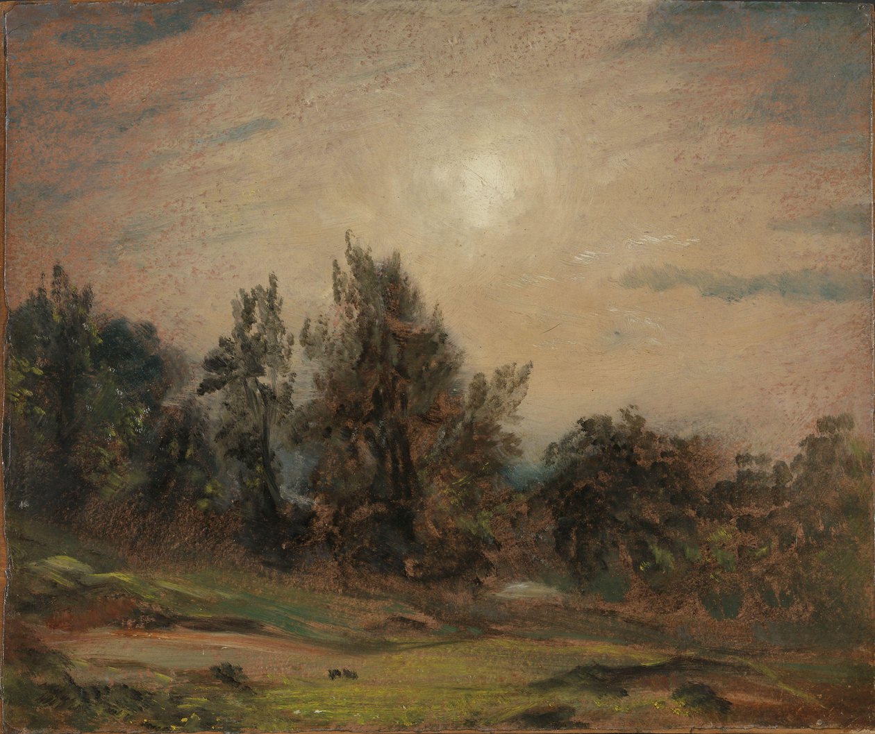 Fák a Hampstead Heath-en alkotó: John Constable