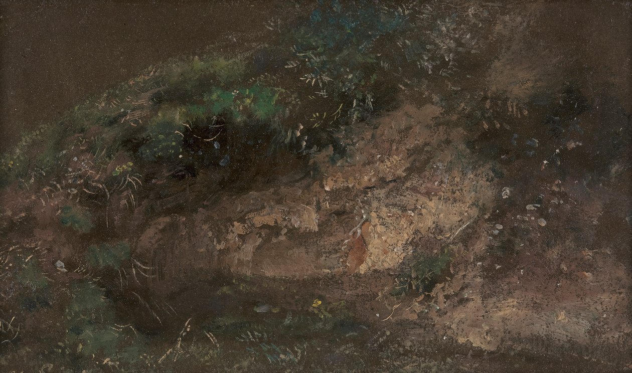 Aljnövényzet alkotó: John Constable
