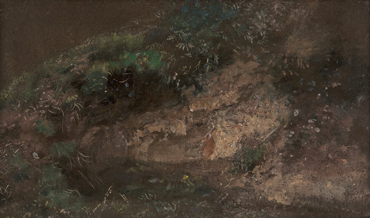 Aljnövényzet, kb. 1821. alkotó: John Constable