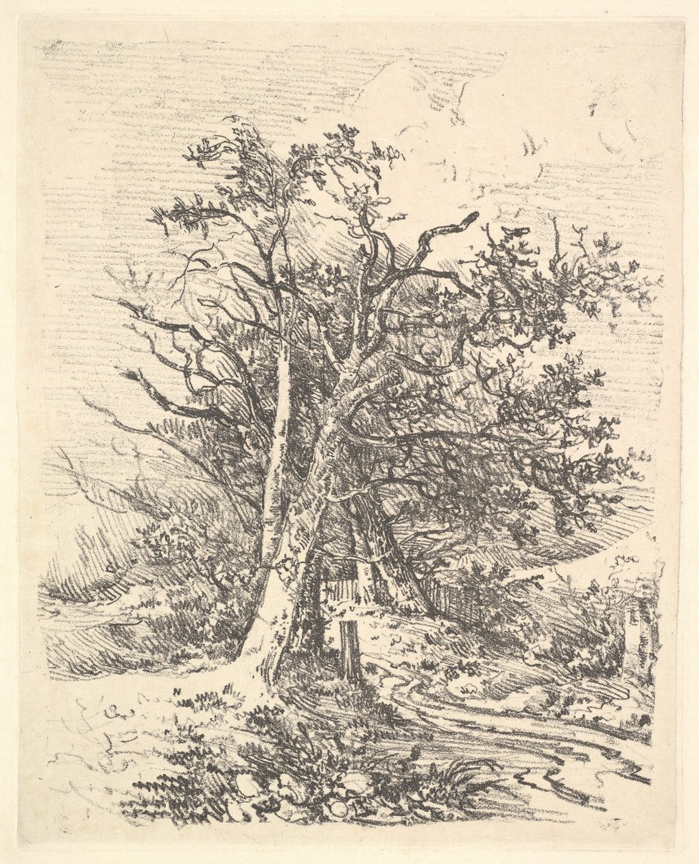 Fatörzsek és sáv, 1811-13. alkotó: John Crome