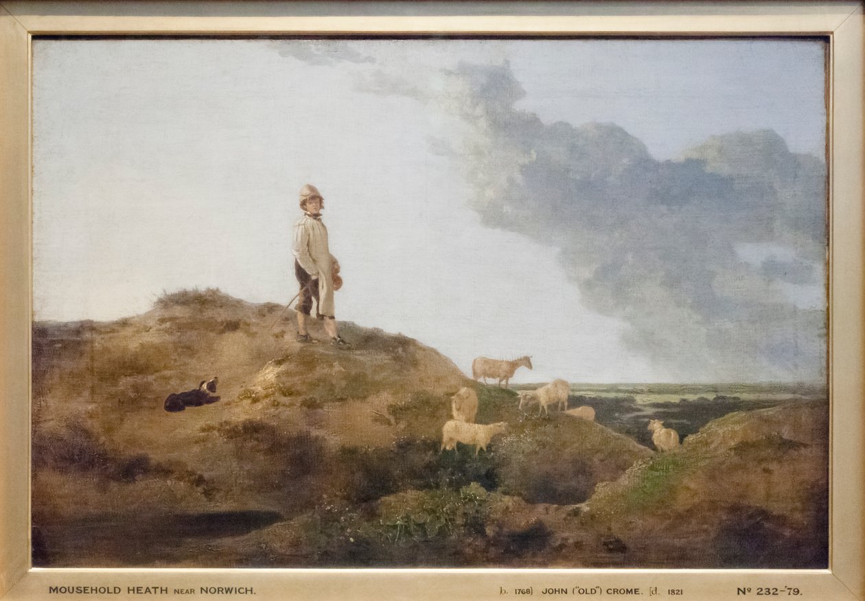 Kilátás a Mousehold Heath-re, Norwich közelében alkotó: John Crome