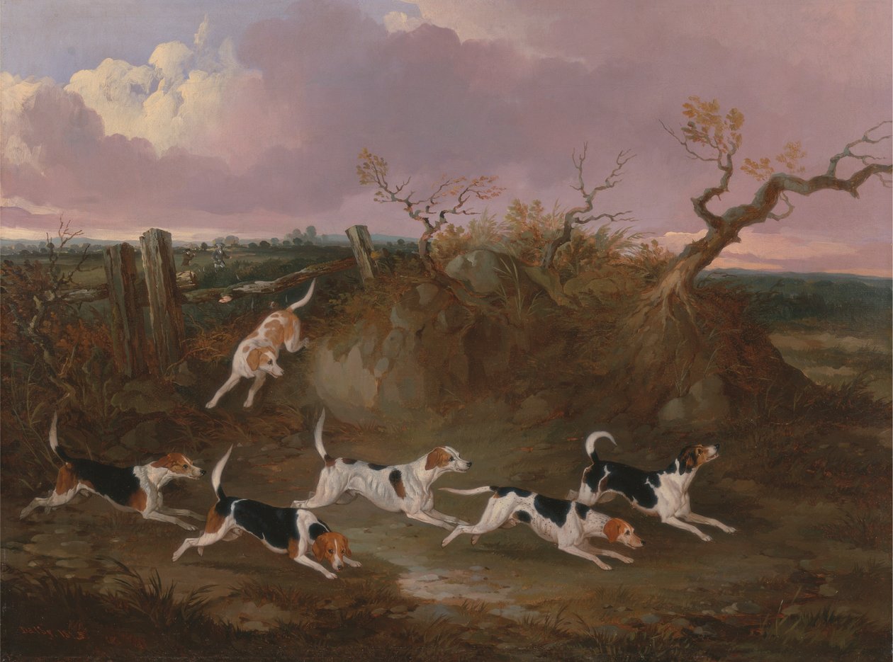 Beagles in Full Cry alkotó: John Dalby