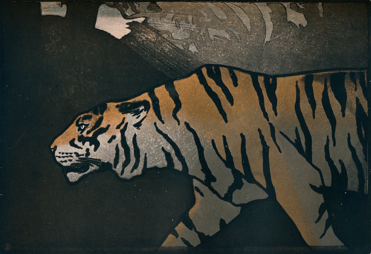 A tigris, c1900 alkotó: John Dickson Batten