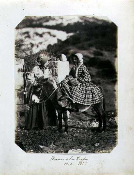 Eleanor és a szamara alkotó: John Dillwyn Llewelyn