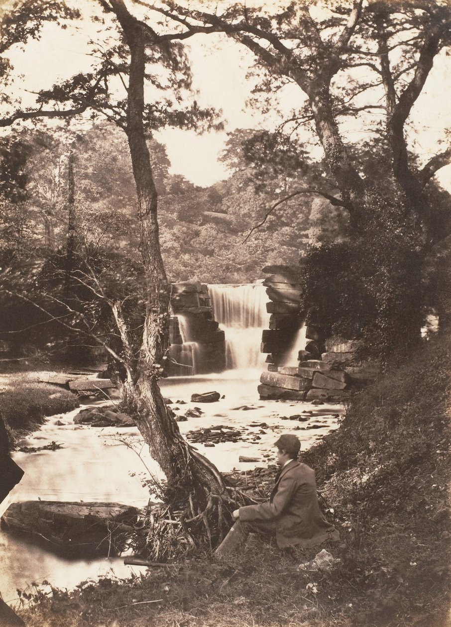 A felső ősz, 1853-56. alkotó: John Dillwyn Llewelyn