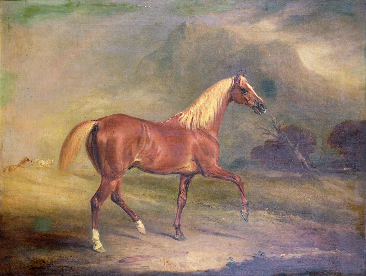 Gesztenye arab mén alkotó: John E. Ferneley