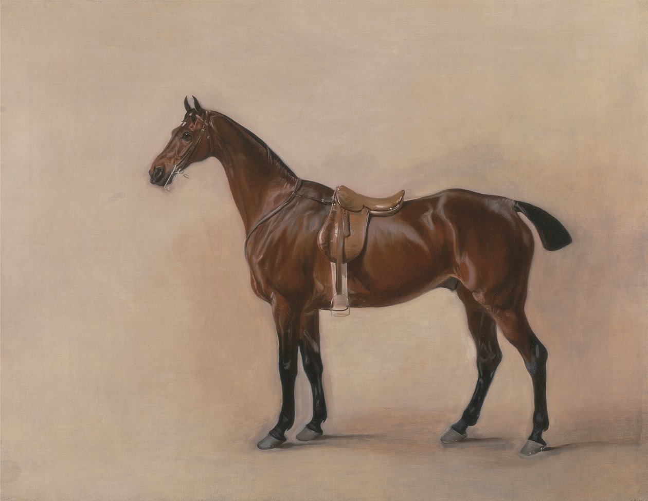 Egy Saddled Bay Hunter tanulmánya alkotó: John E. Ferneley
