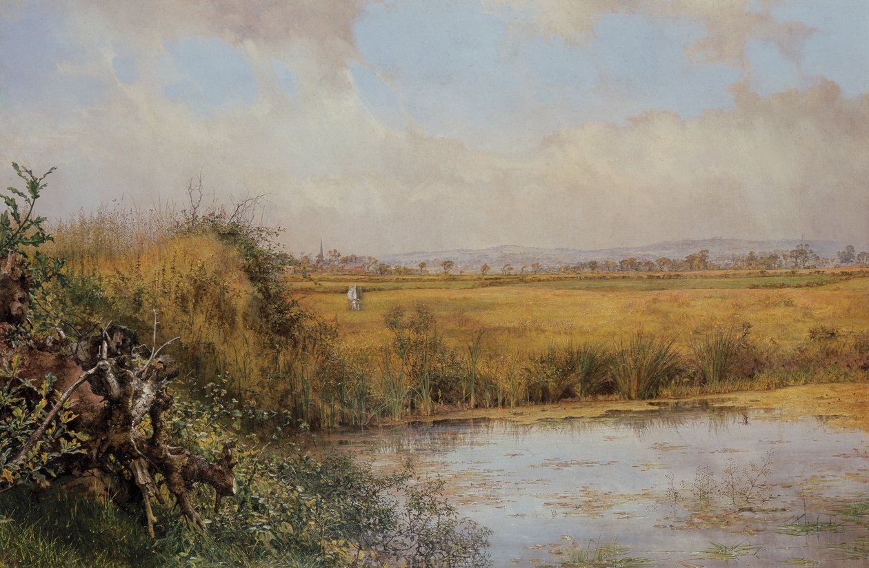 Ismeretlen kép alkotó: John Edward Newton