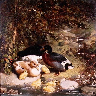 Kacsák és kiskacsák alkotó: John Frederick Herring Senior
