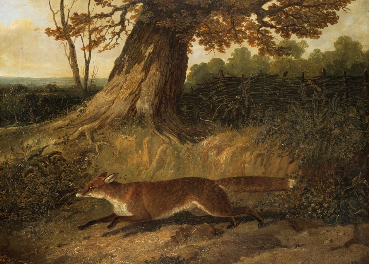 Ismeretlen kép alkotó: John Frederick Herring Senior