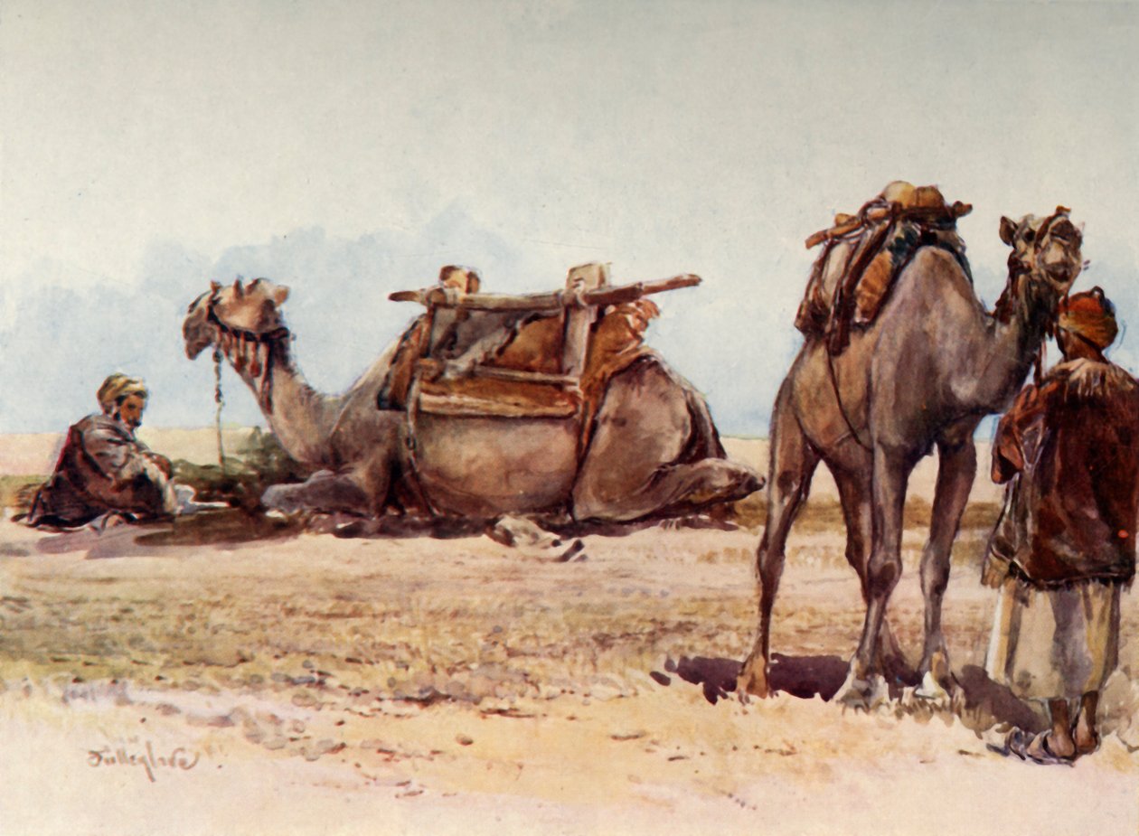 Tanulmány a tevékről és a kísérőkről, 1902. alkotó: John Fulleylove