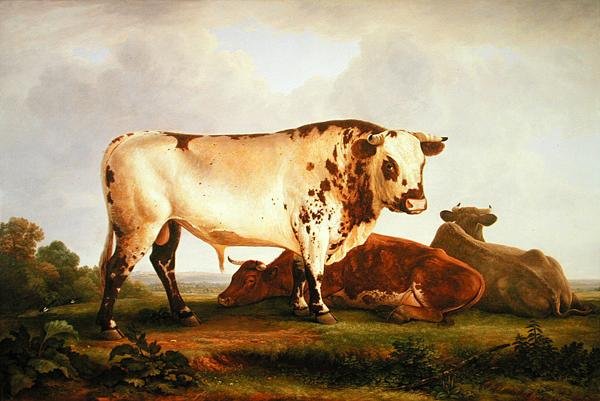 Bika (olaj, vászon) alkotó: John Glover