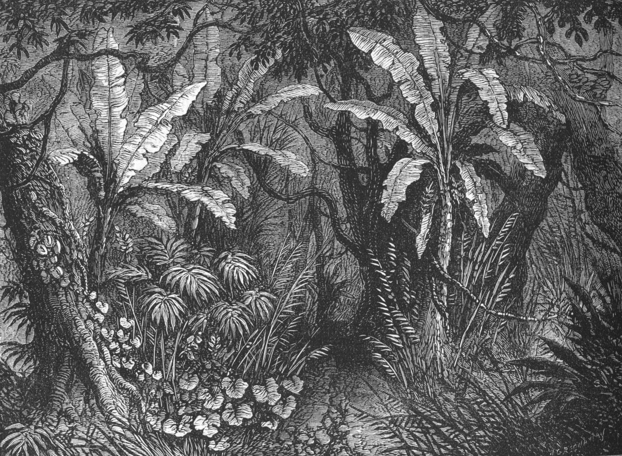 A bokorban, 1880 alkotó: John Greenaway