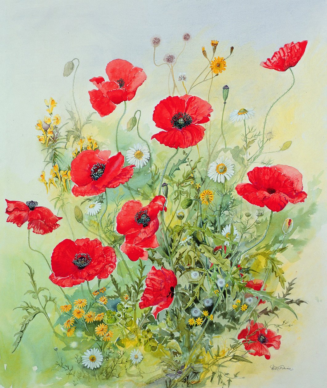 Pipacs és Mayweed alkotó: John Gubbins