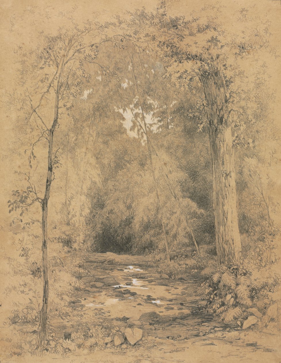 Erdőbelső, c. 1870. alkotó: John Henry Hill