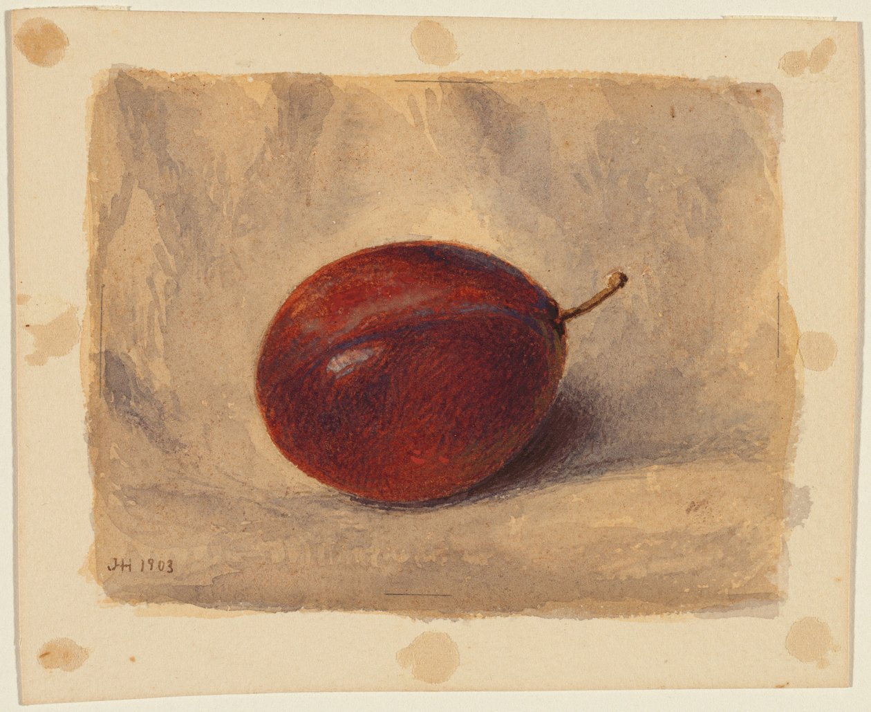Szilva alkotó: John Henry Hill