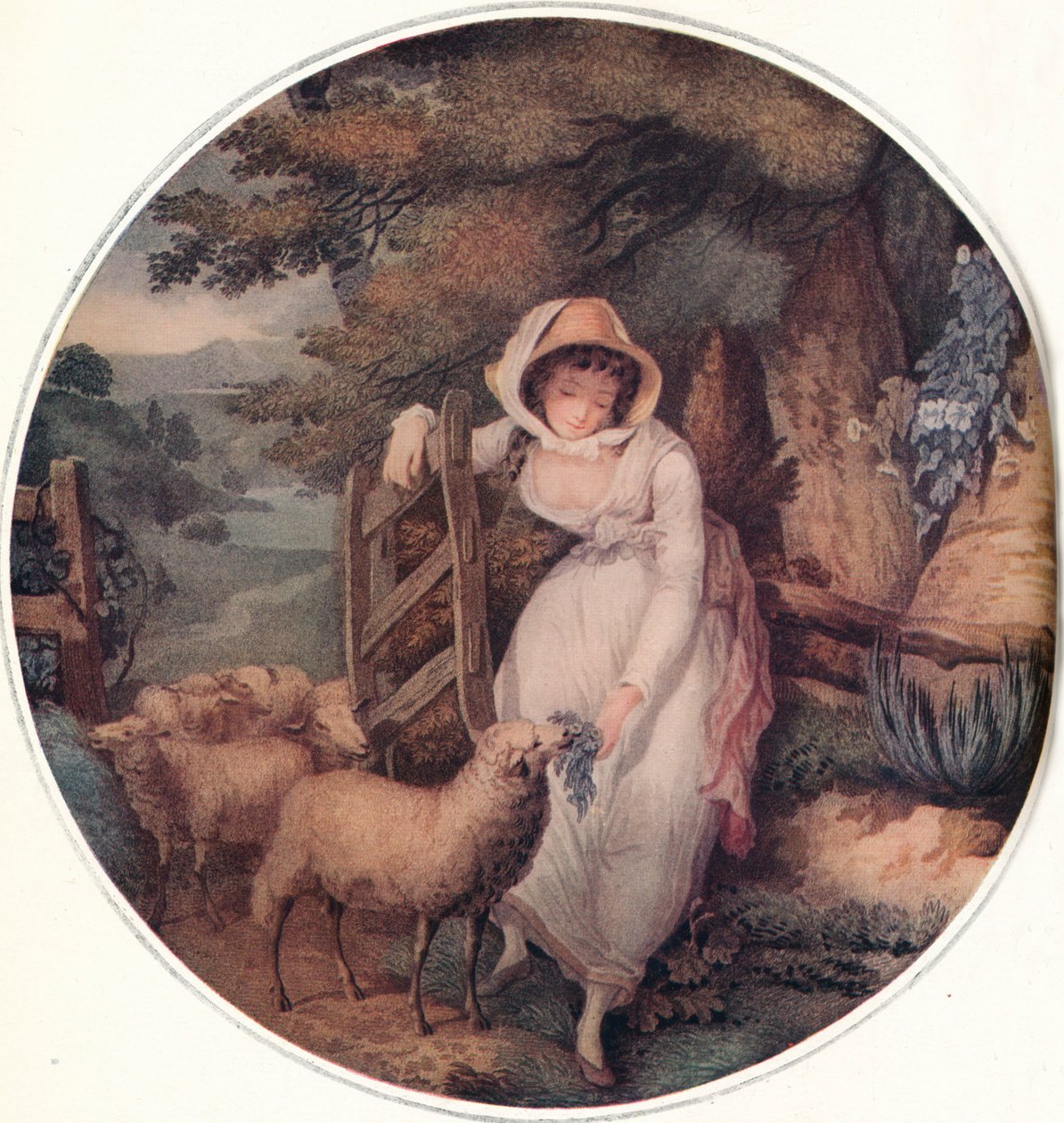 „Adelaide”, 1885 alkotó: John Hogg