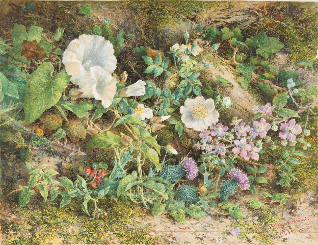 Virágtanulmány, 1866. alkotó: John Jessop Hardwick
