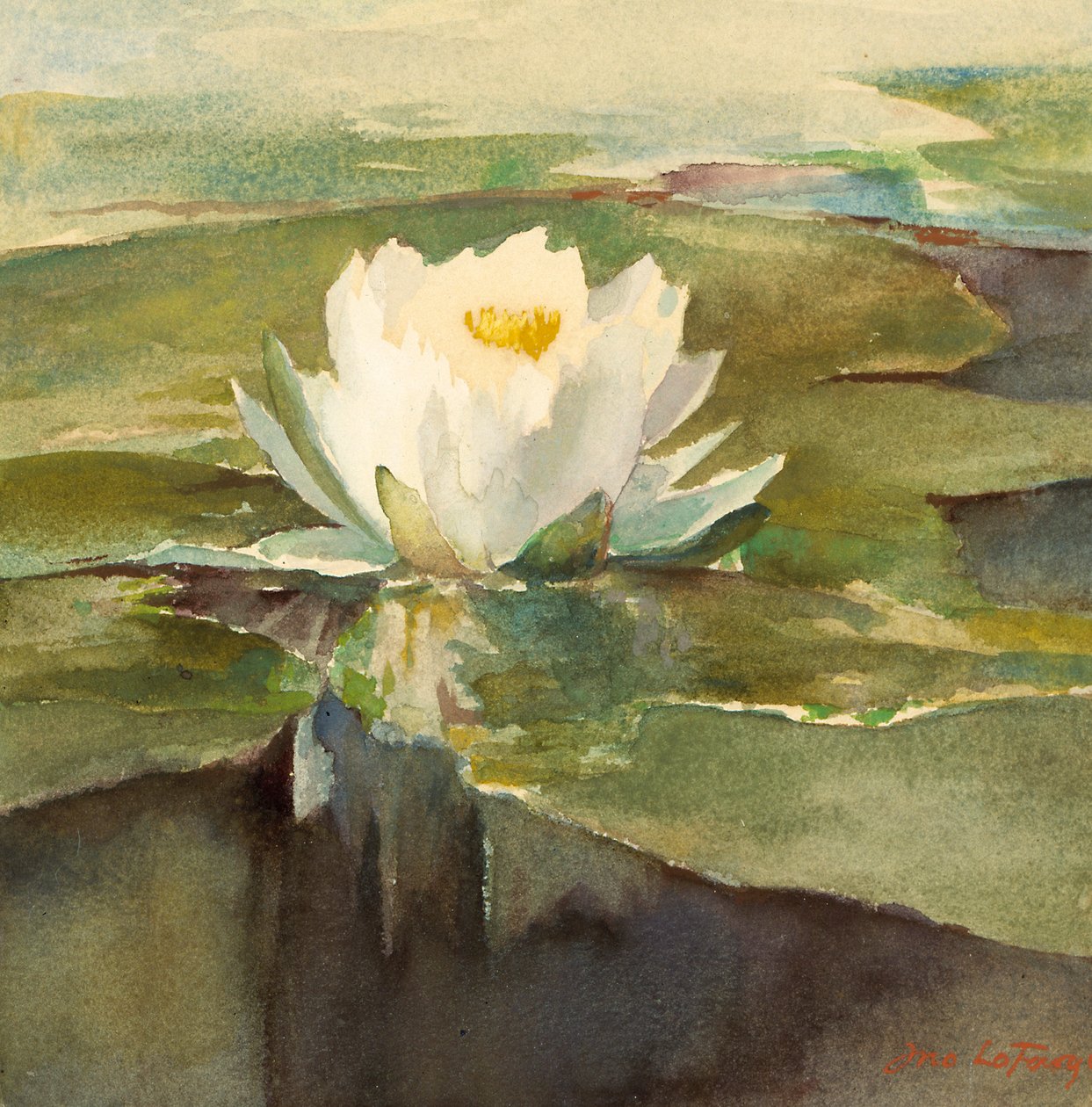 Tavirózsa napfényben, kb. 1883. alkotó: John La Farge