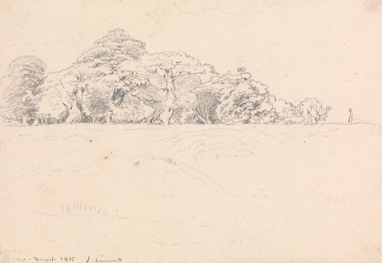Windsori erdő alkotó: John Linnell