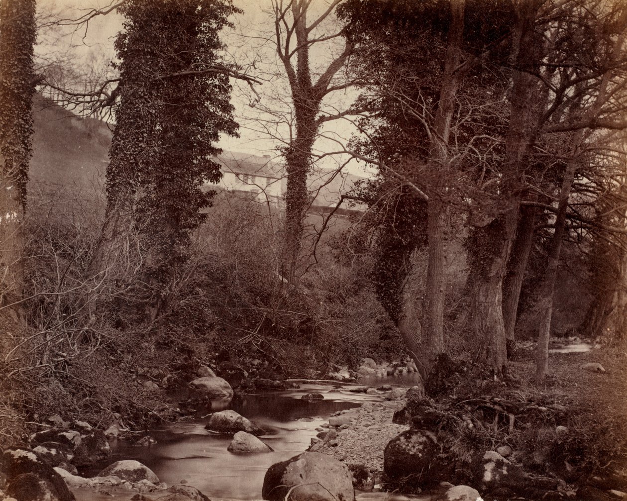 Cím nélkül, c. 1859. alkotó: John Lloyd