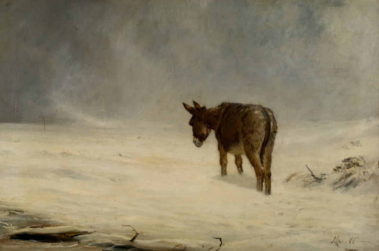 Szamár a hóban alkotó: John MacWhirter