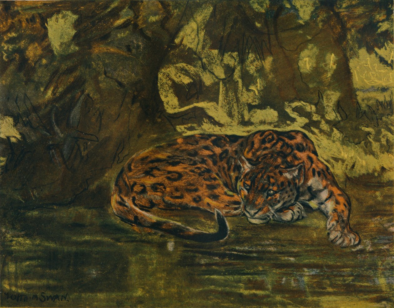 Egy Jaguar, c1900 alkotó: John Macallan Swan