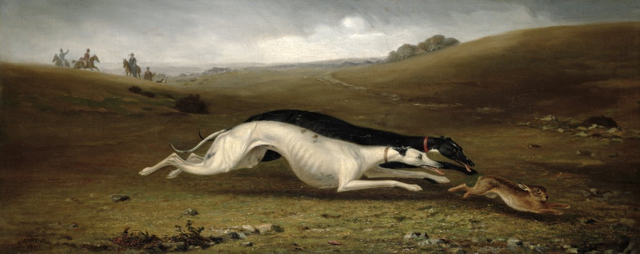 Nyulak tájképben, 1870 alkotó: John Marshall