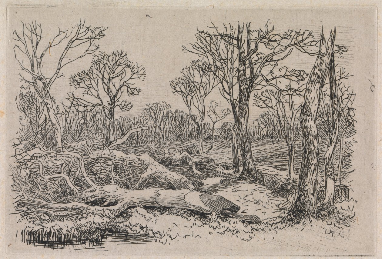 Kivágott fa, Burningham alkotó: John Middleton