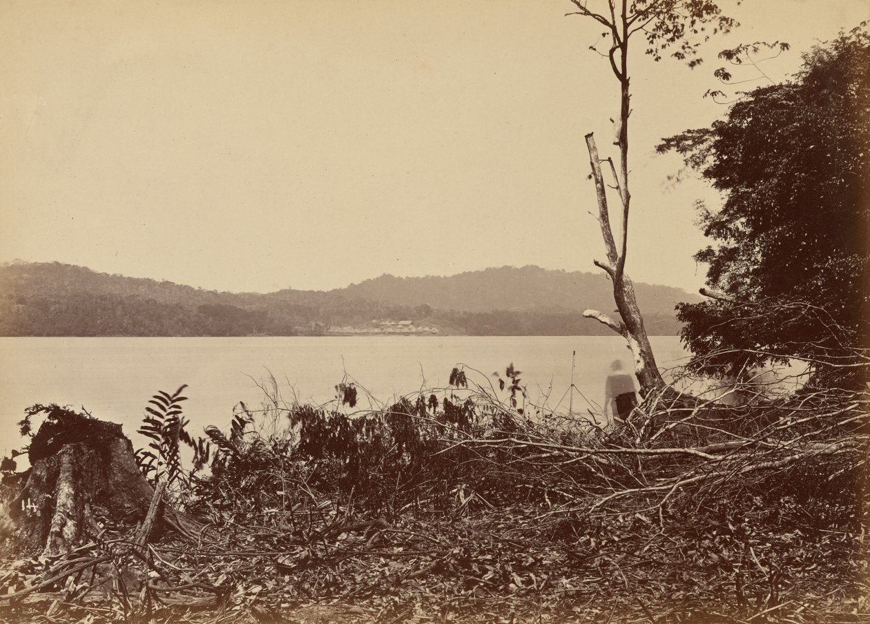 Darien Harbour, Chipigana,1871 (fénykép) alkotó: John Moran