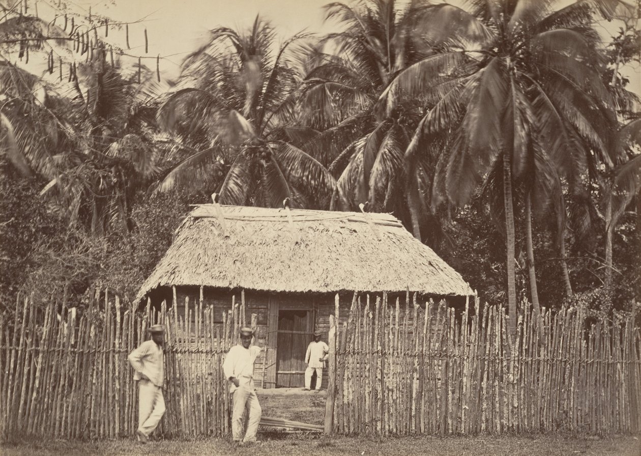 Trópusi táj, Native Hut, Turbo, 1871. alkotó: John Moran