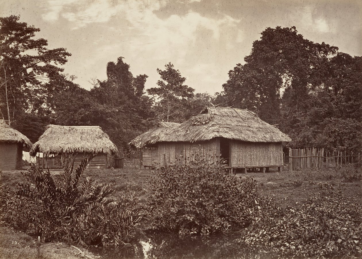 Trópusi táj, Turbo Village, 1871. alkotó: John Moran