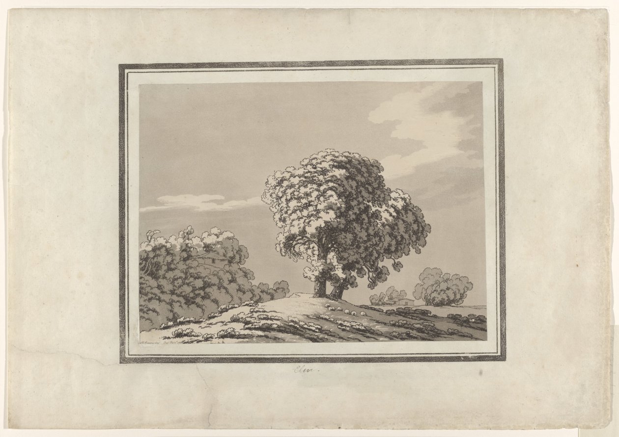 Szilfa alkotó: John Robert Cozens
