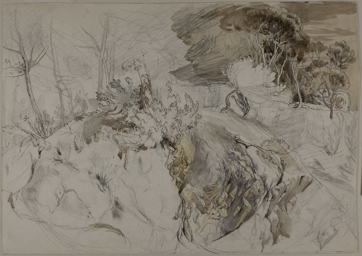 Cserjék és fák sziklás tájon alkotó: John Ruskin