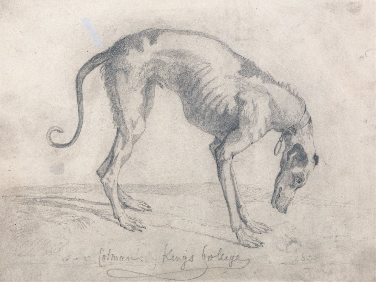 Egy kiéhezett agár alkotó: John Sell Cotman