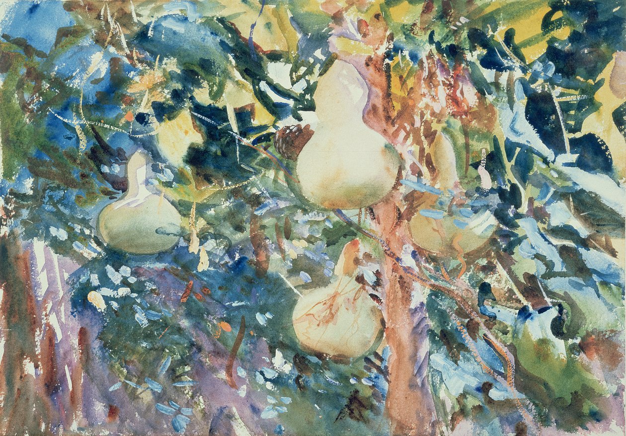 Tökök, 1905 körül (wc papíron) alkotó: John Singer Sargent