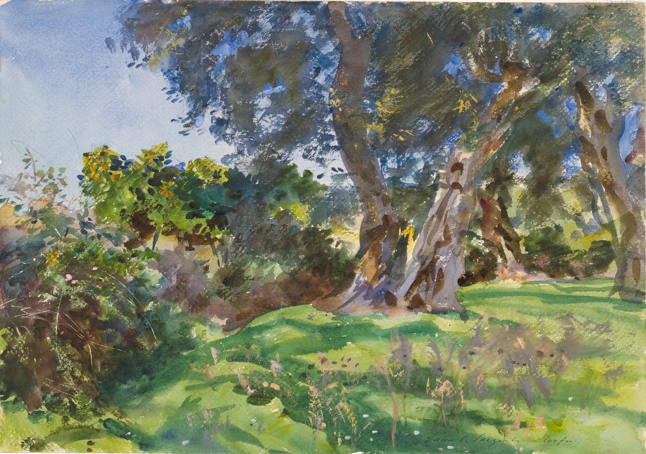 Olajfák, Korfu alkotó: John Singer Sargent